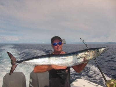 Small Wahoo