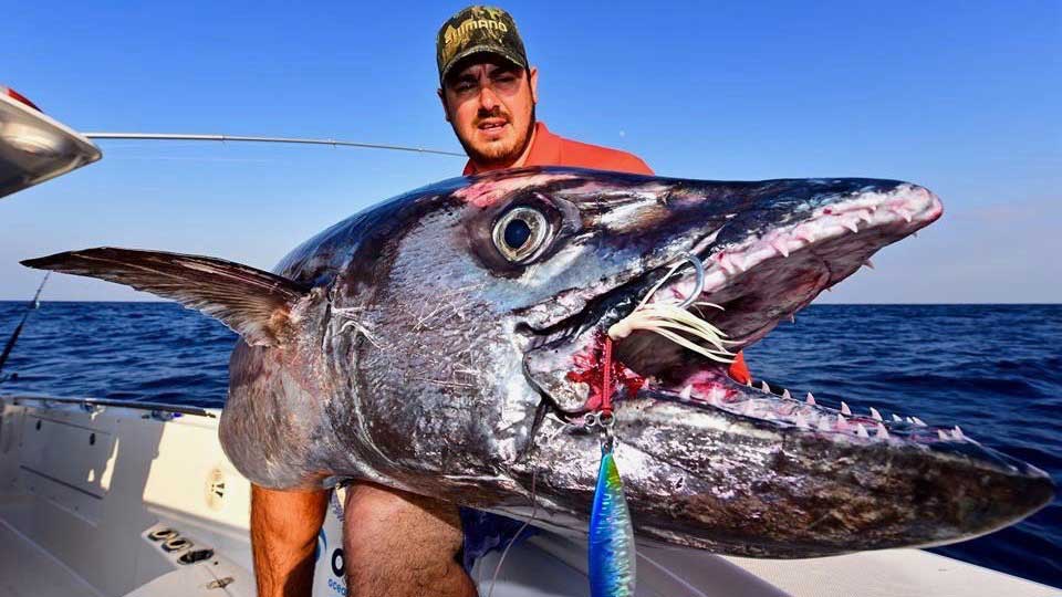 How to Catch a Dogtooth Tuna