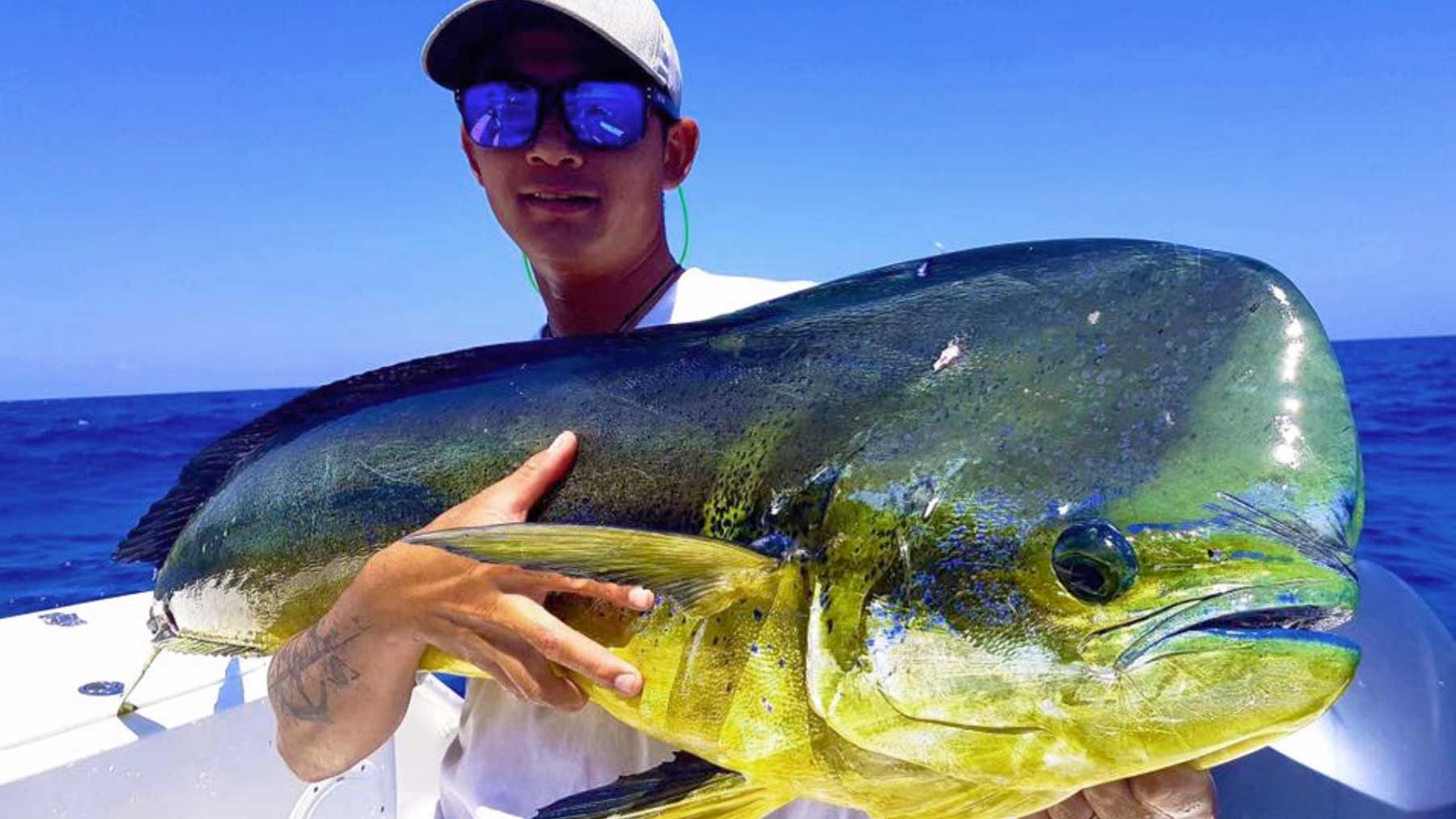 Facts About Mahi Mahi Ocean Blue Fishing