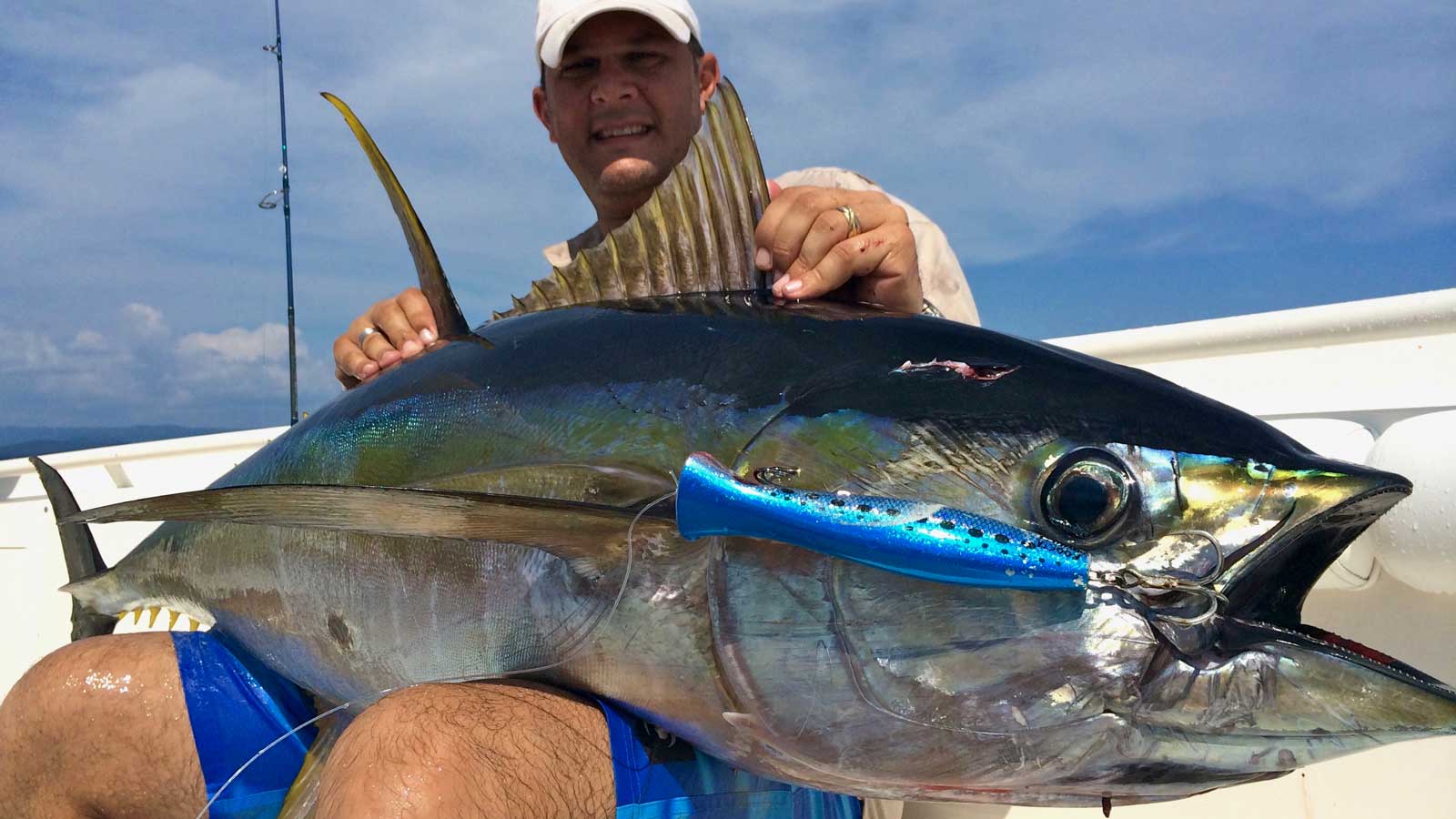 Facts About Yellowfin Tuna Ocean Blue Fishing