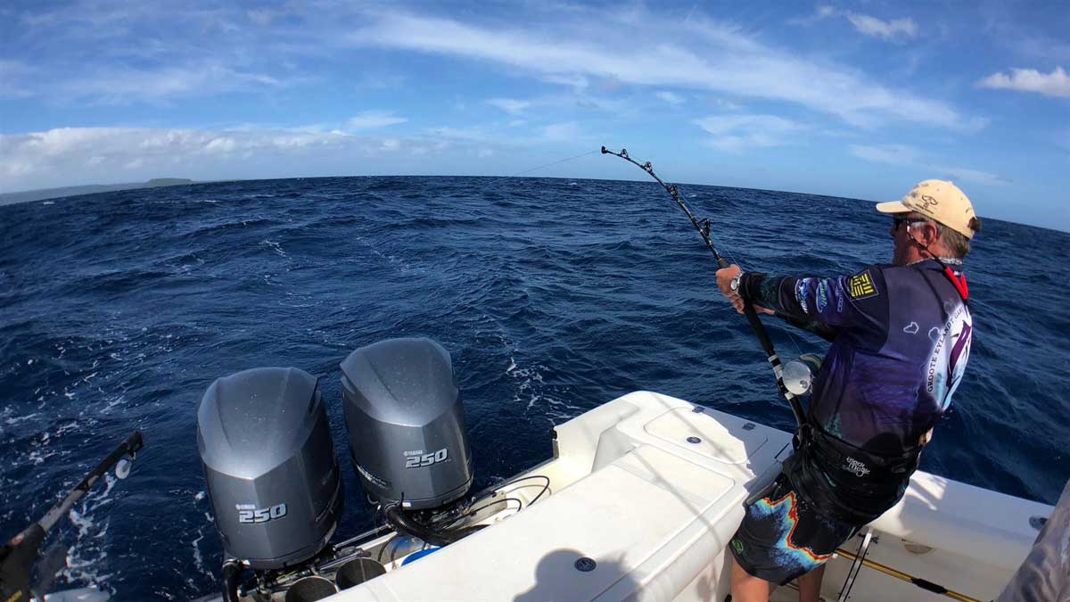 Multiple Marlin Fishing