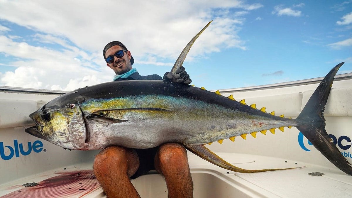 Yellowtail Tuna
