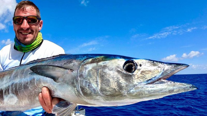 Wahoo Fishing Tips: How to Catch Wahoo More Effectively