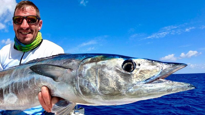 Long Range Fishing: A Guide for Targeting Wahoo