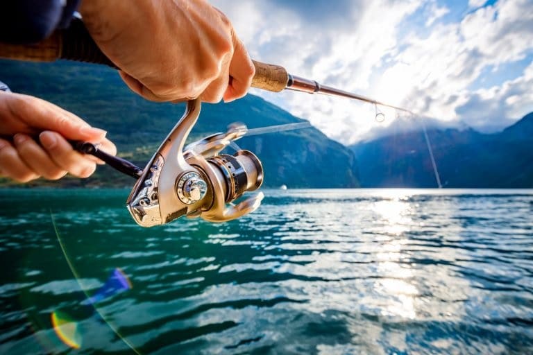 Which Fishing Line Is BEST?? (Monofilament vs. Fluorocarbon vs