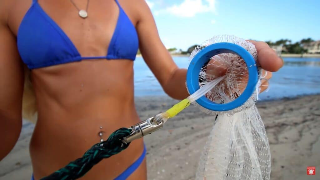 Need Live Bait? Darcizzle Outdoors Cast Nets