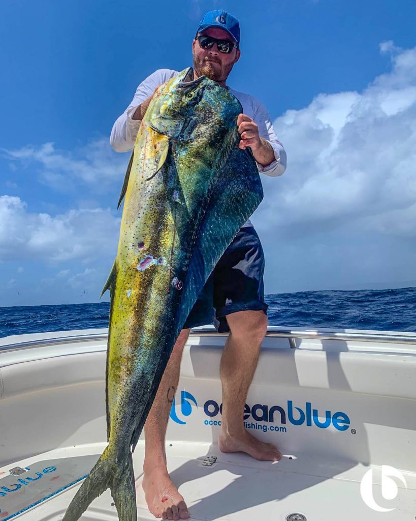 Mahi-mahi, Top 3 Fishing Techniques