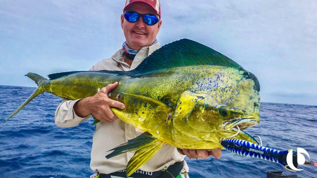 Mahi-mahi, Top 3 Fishing Techniques