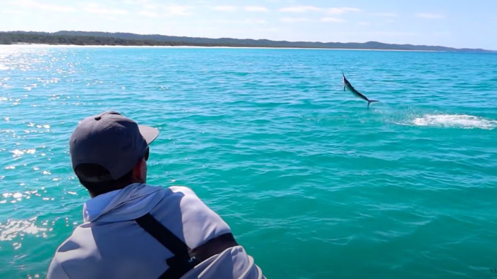 Fishing at Hervey Bay with fish jumping