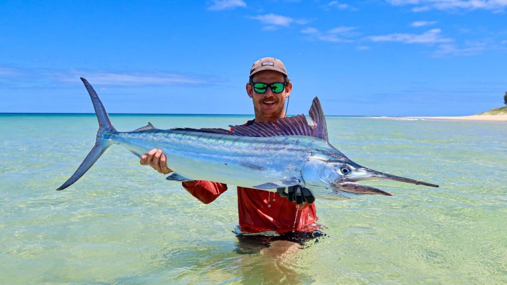 Holding marlin on Hervey Bay beach