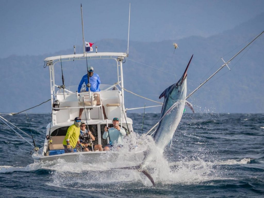 Tropic star lodge marline fishing