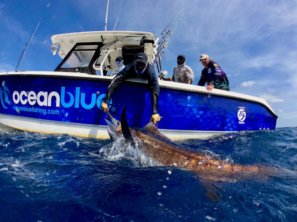 Ocean Blue Fishing Best Fishing Lodge Catching Fish