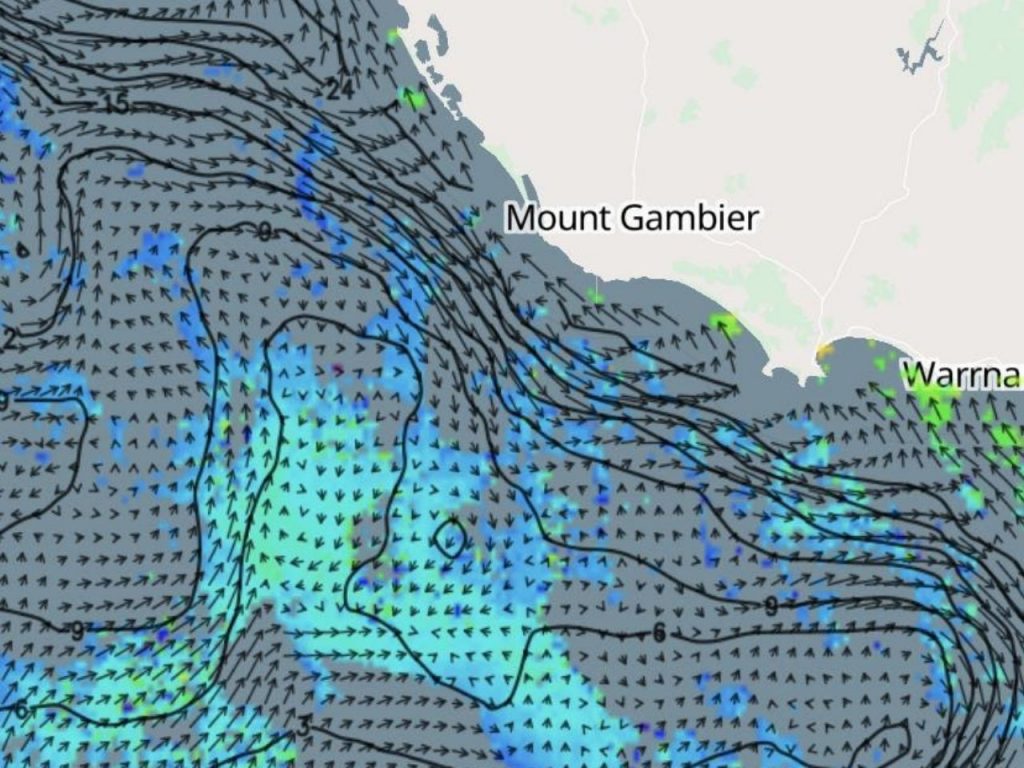 Chlorophyll off South Australia