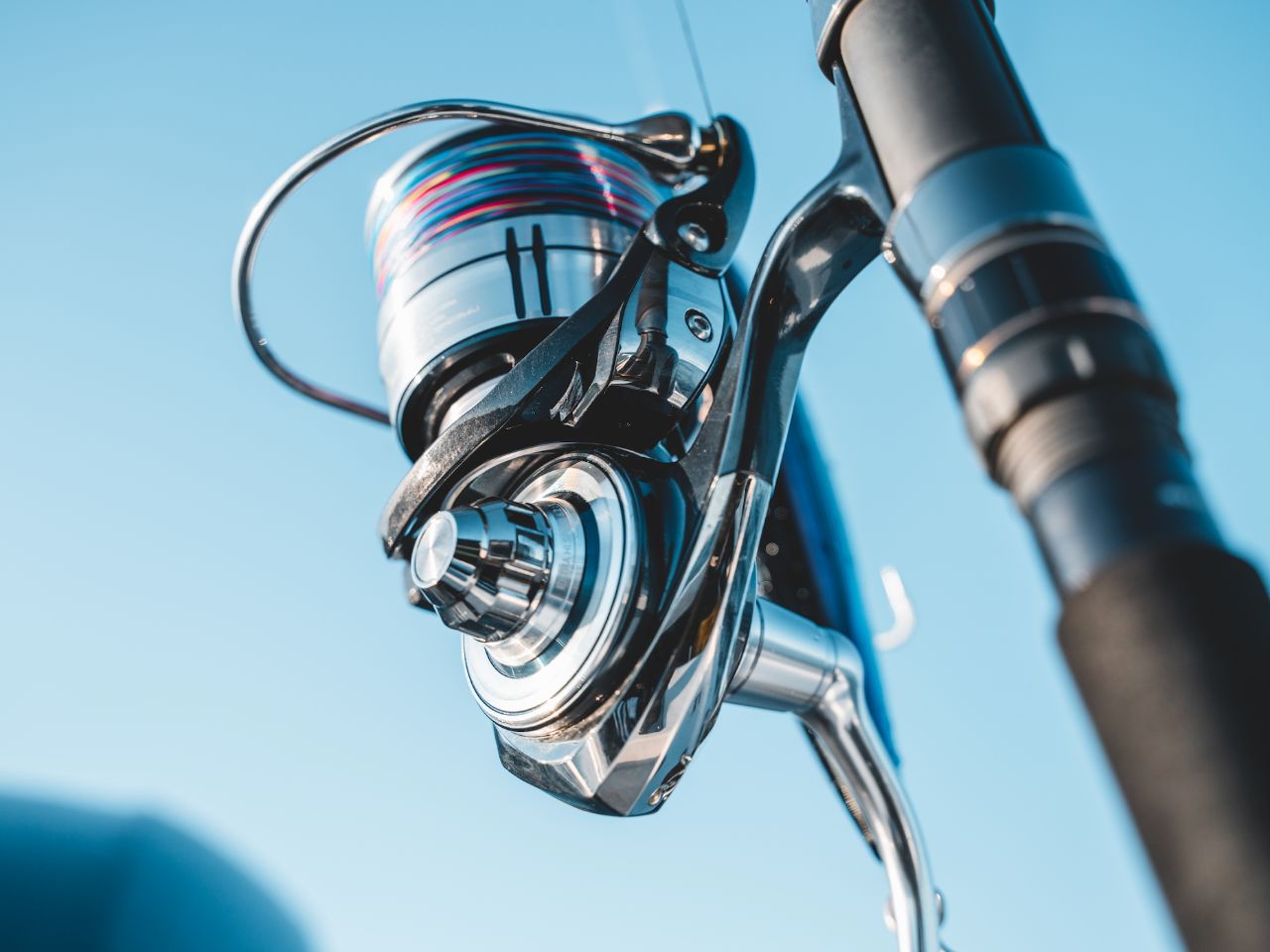 2021 Daiwa Certate. Is it up to tackling the big dogs?