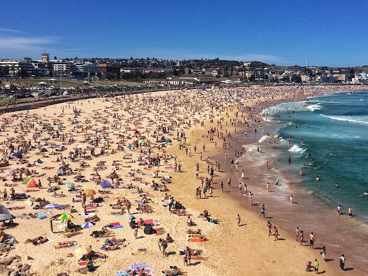 Busy-Bondi-Beach