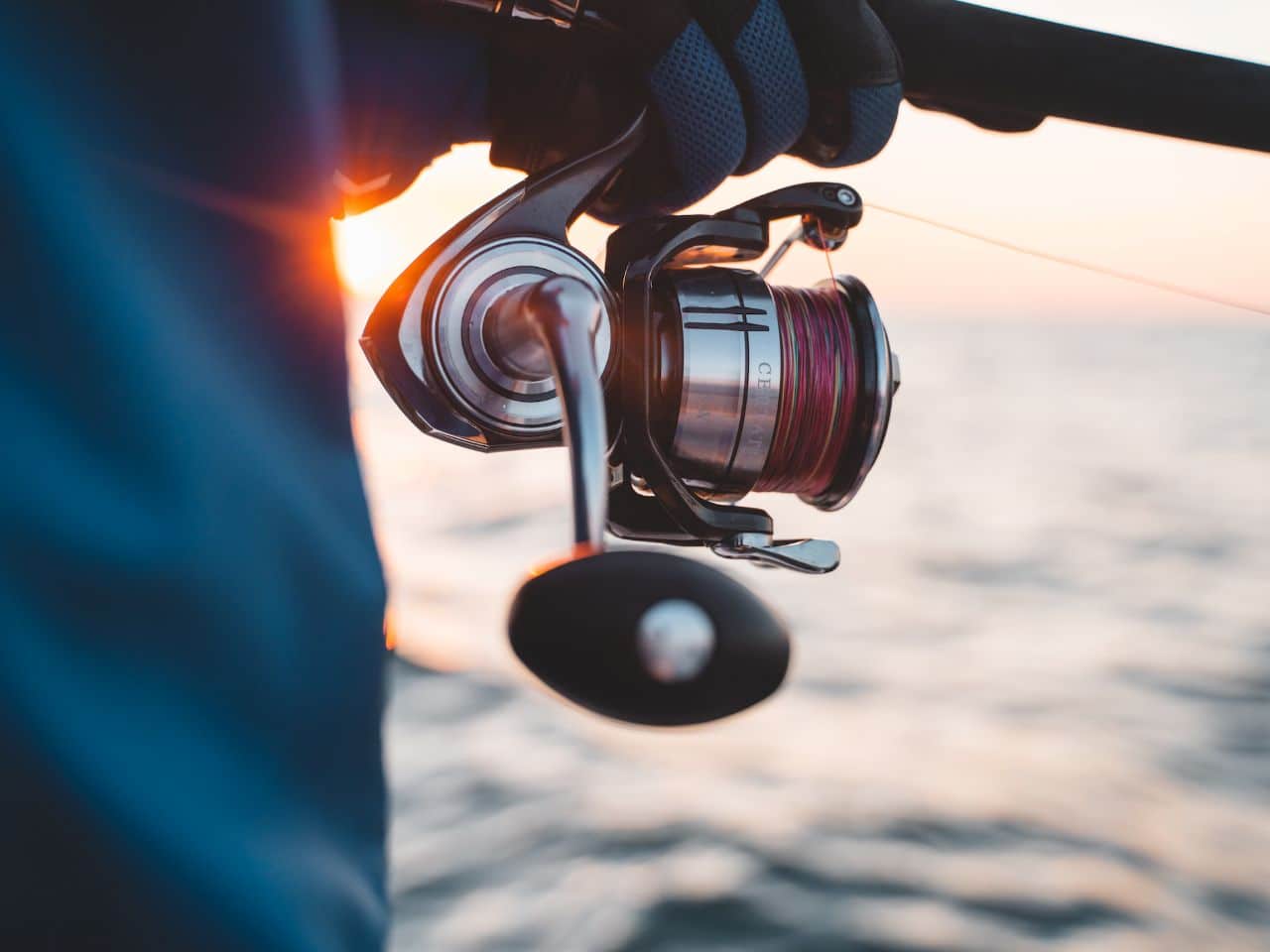 Daiwa CERTATE SW 21 Is this the BEST value Spinning reel on the market? 