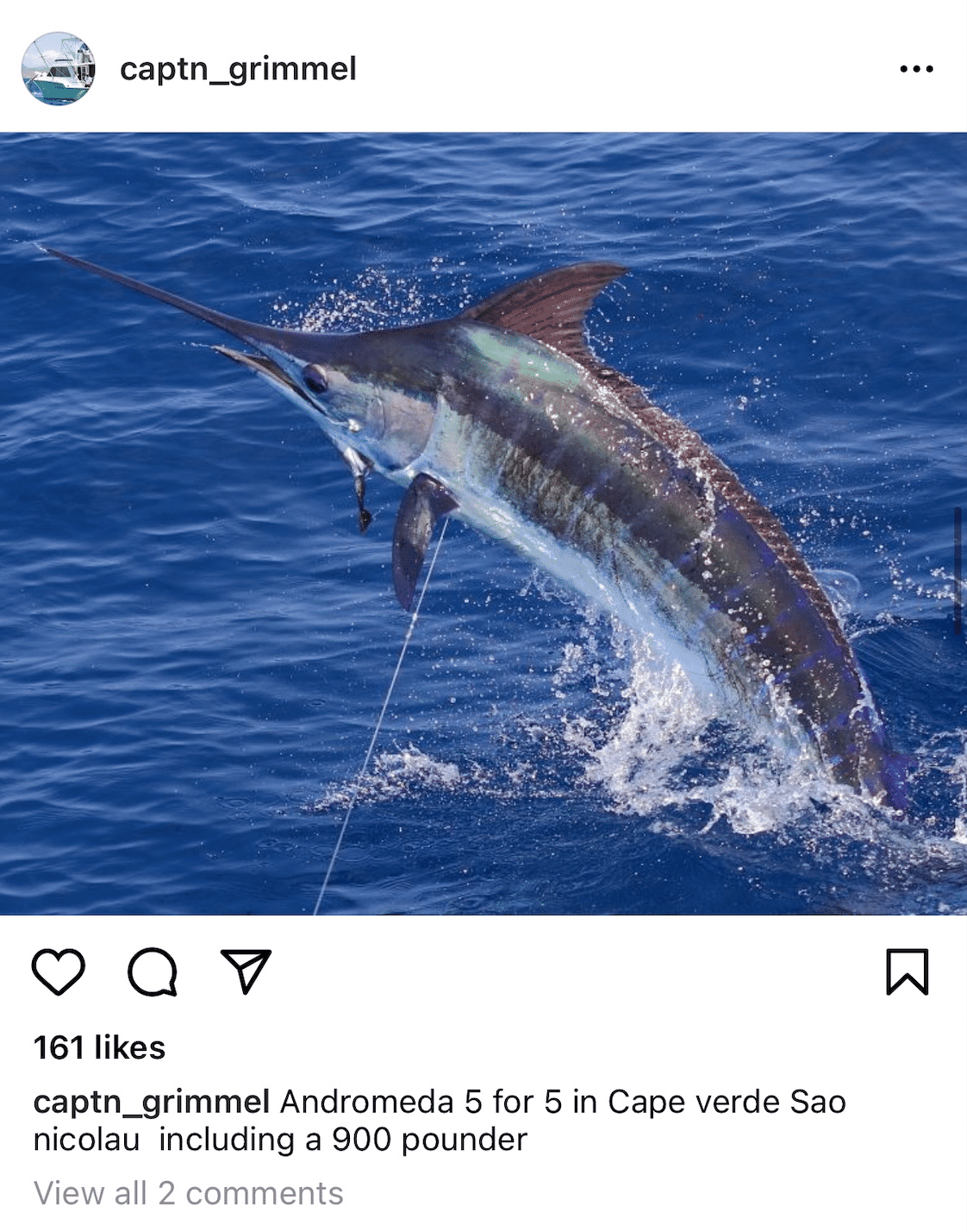 Last-Years-Winner-Instagram-Blue-Marlin-Cup