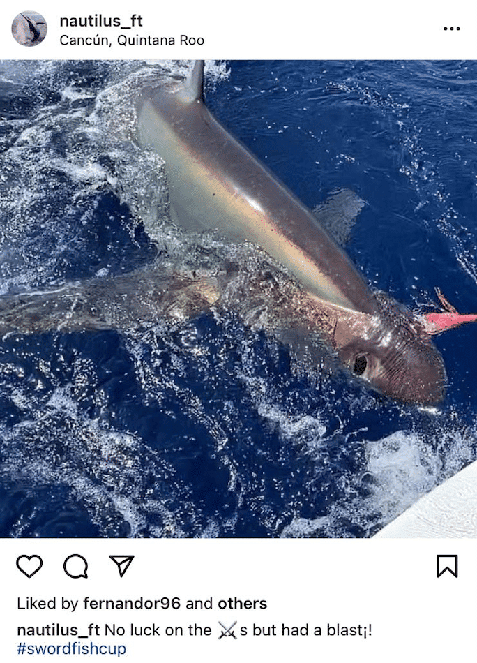 Instagran-Post-of-Swordfish