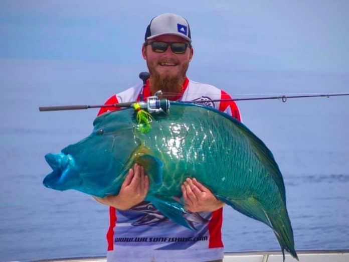 Jed Hokins Fishing