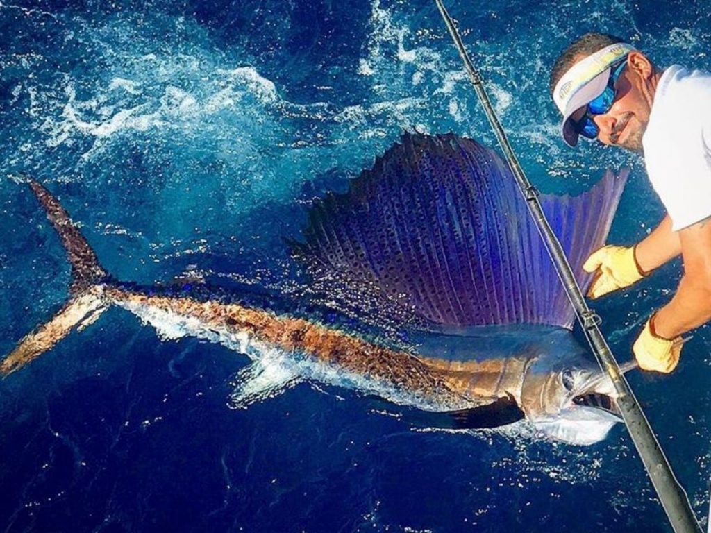 Open Fishing Destinations Costa Rica with a Sailfish