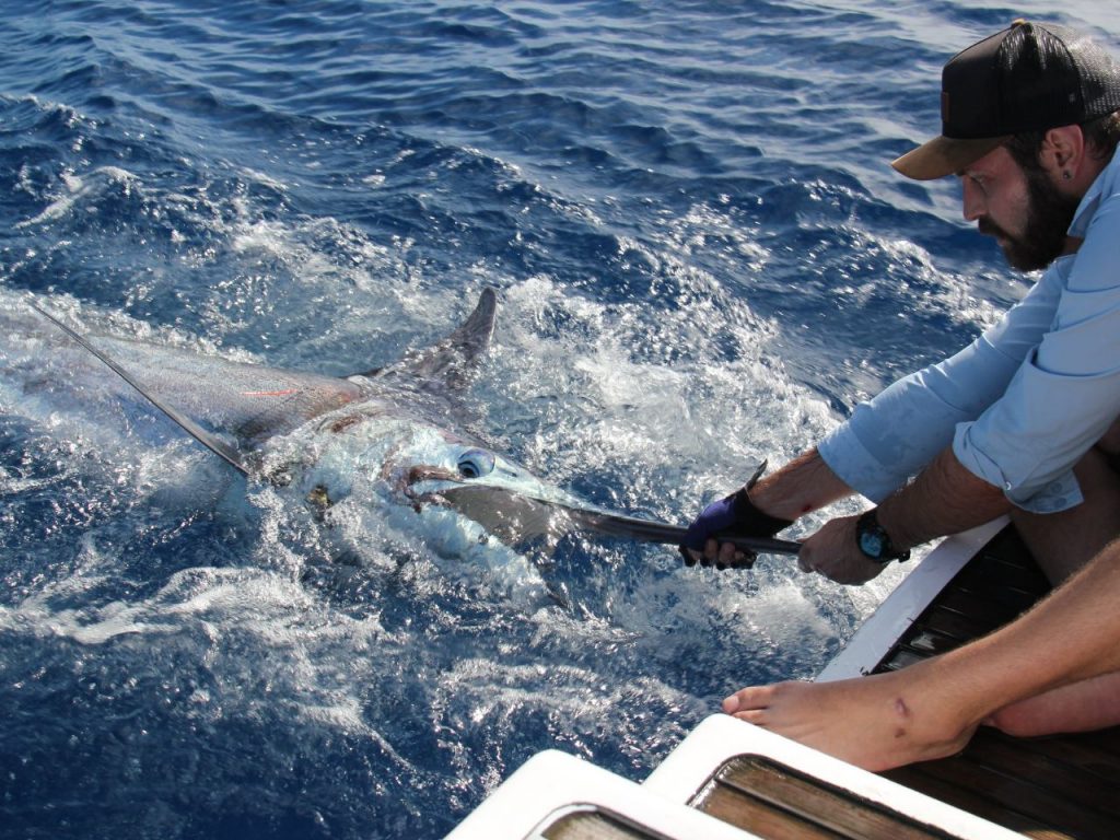 New Caledonia Fishing Destinations Powercat Charters