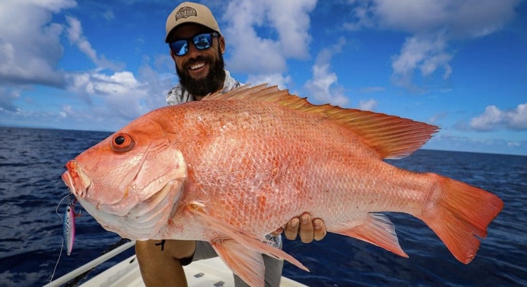 Nannygai caught on with light jigging