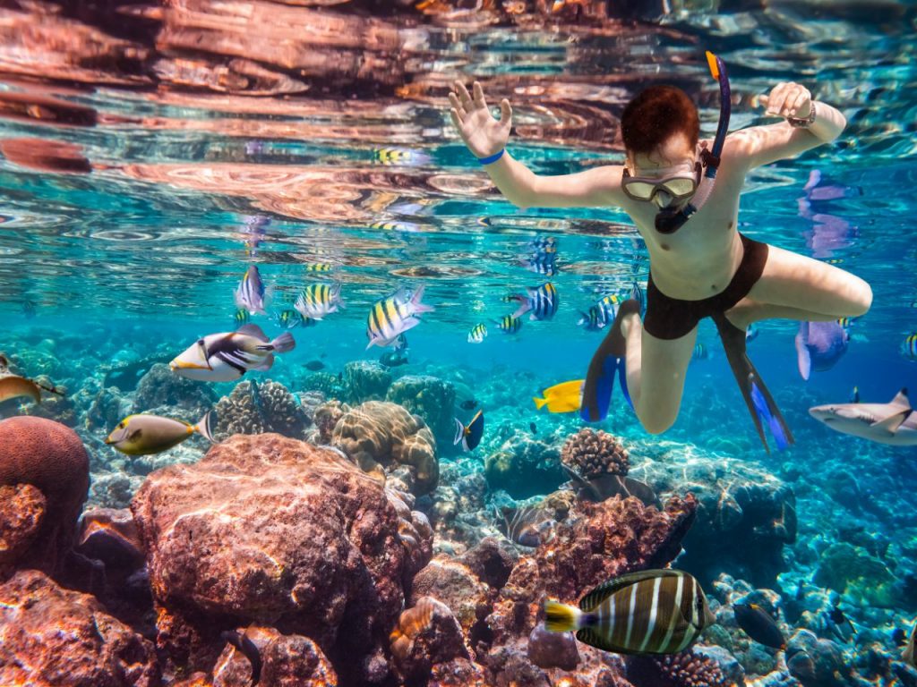 Snorkelling-in-Maldives