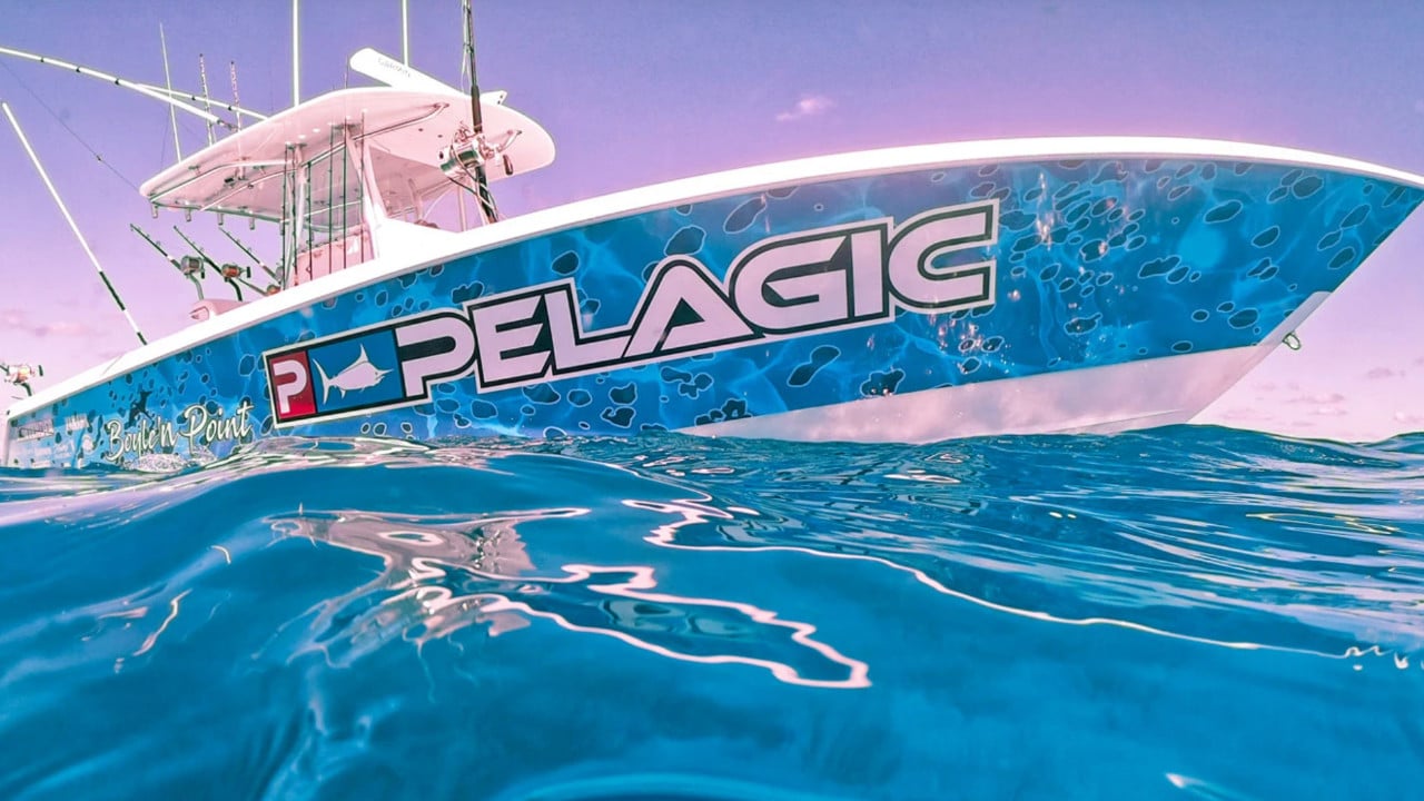 Pelagic Fishing Gear: The Top Choice for the Serious Angler