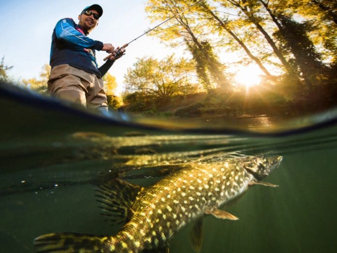 Fishing-Underwater-FDrone-PowerRay