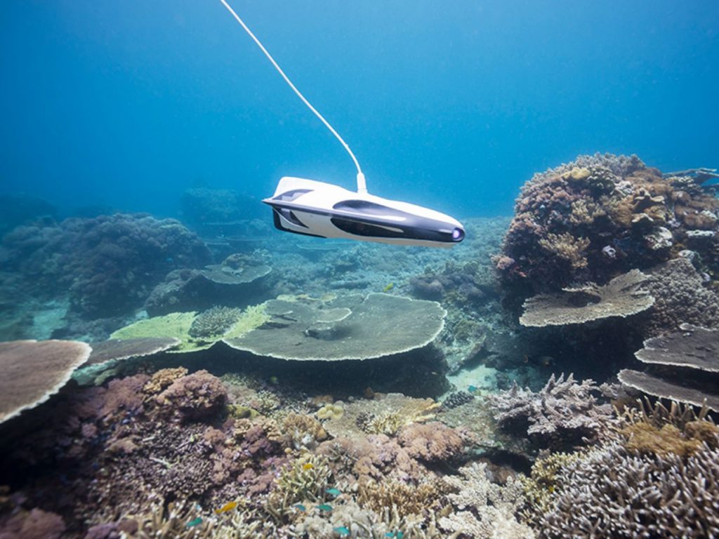 PowerRay-Underwater-Drone-Action