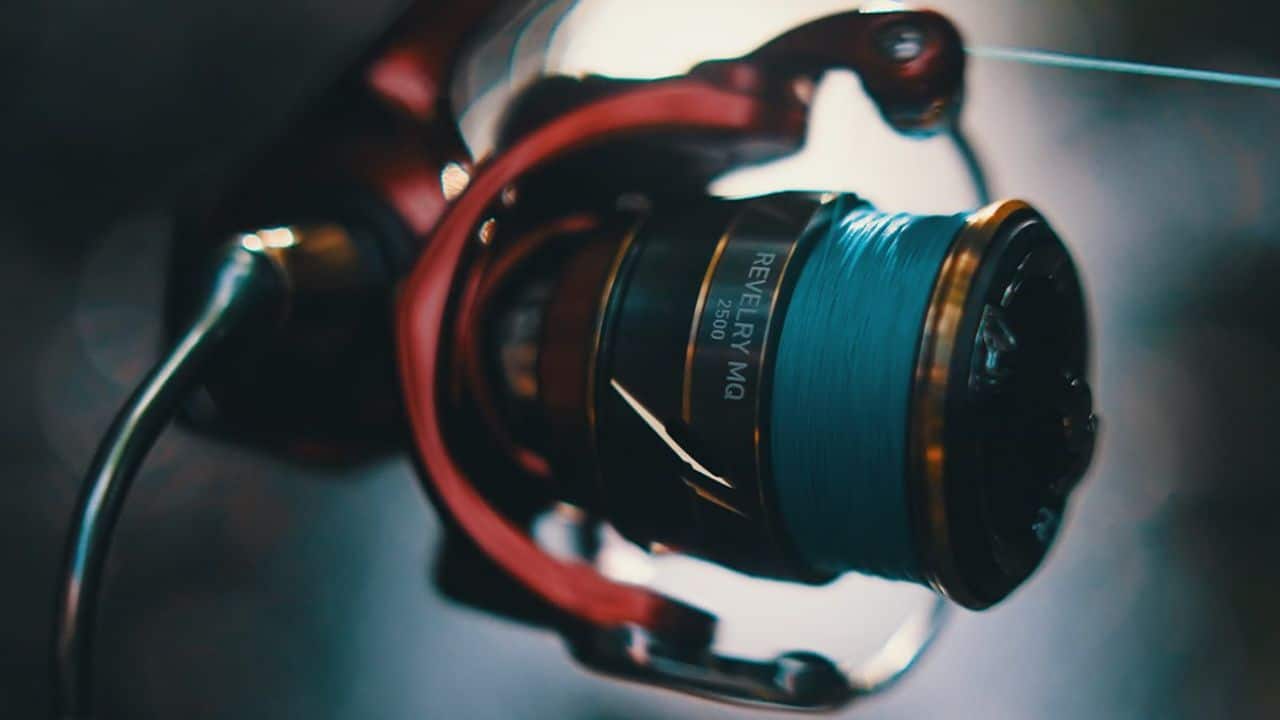 Latest Tech: 2021 Daiwa Revelry Reel Revealed