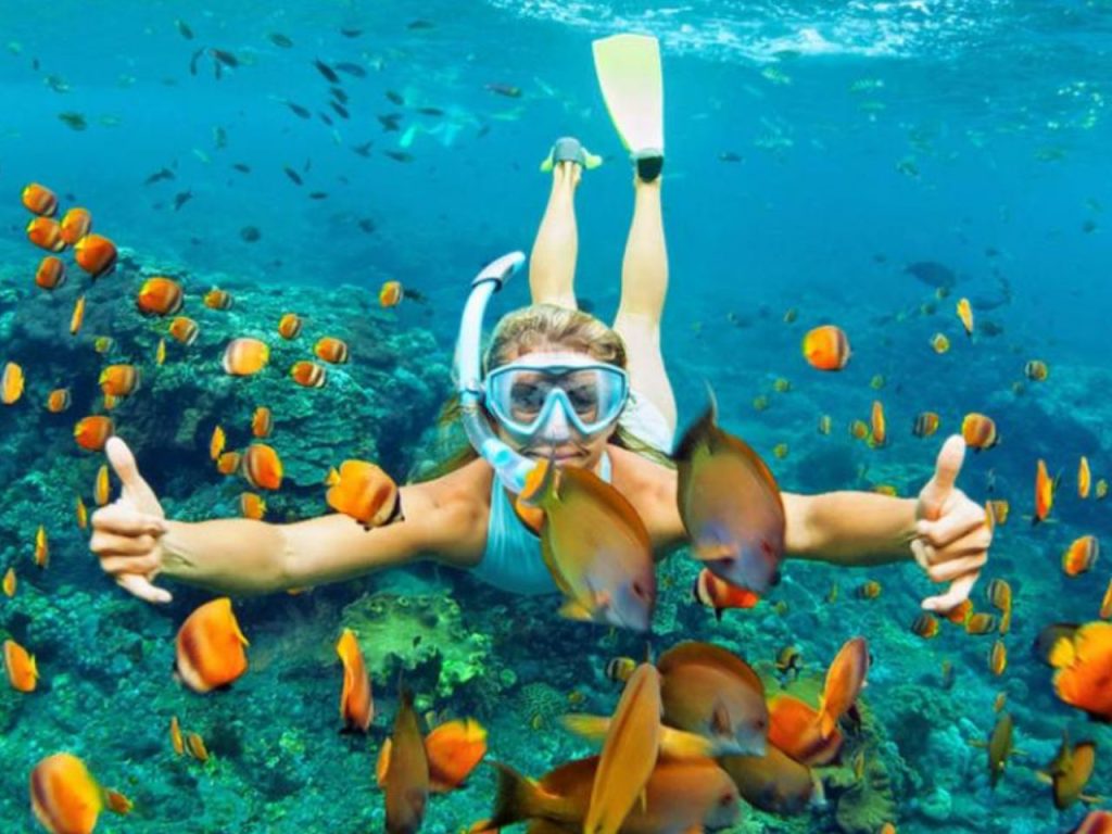 Snorkelling-in-Hamilton-Island