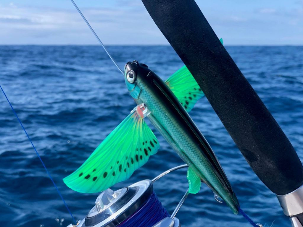 Slipstream Flying Fish: The Nomad Lure You Didn't Know You Needed