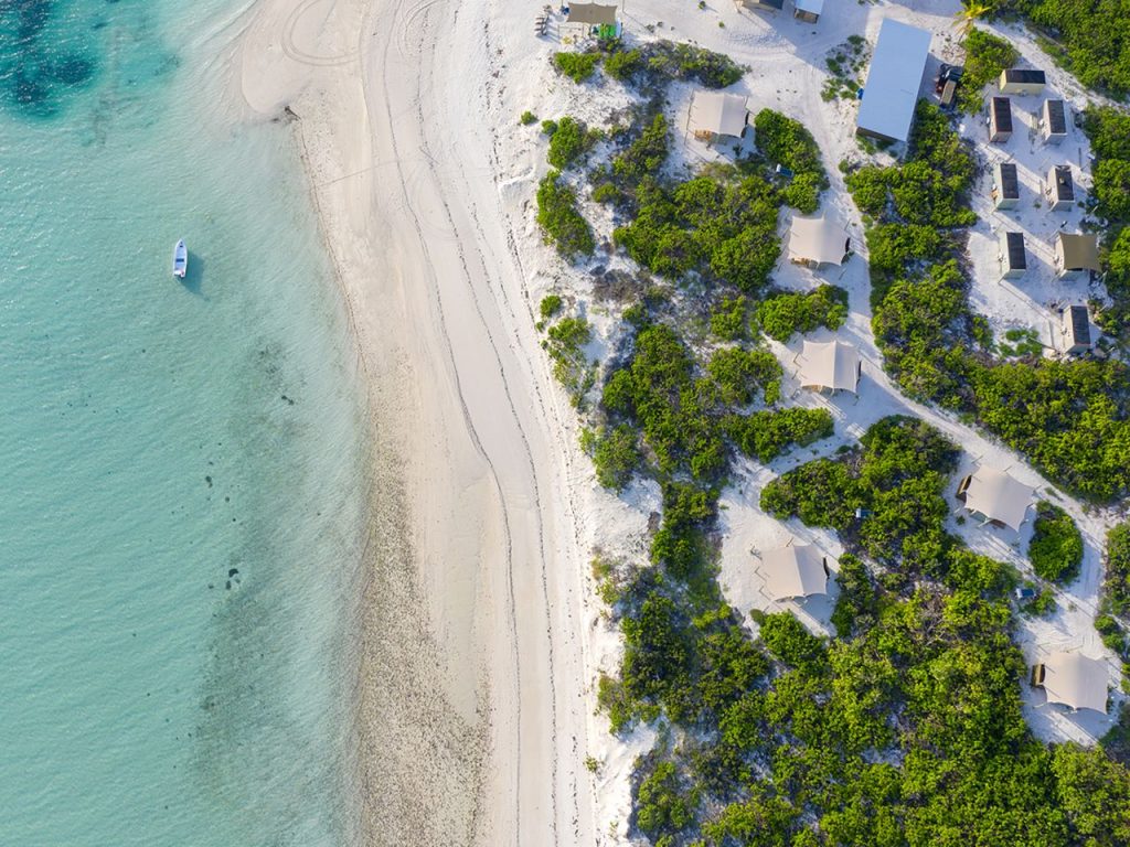 Cosmoledo-Lodge-Blue-Safari