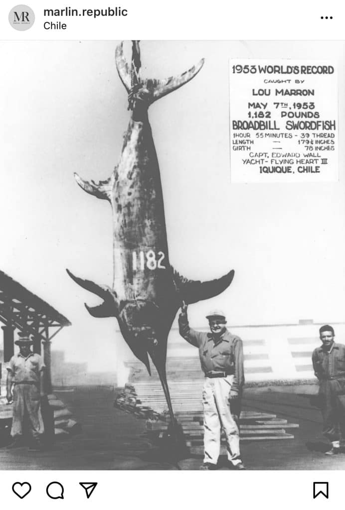 Swordfish-Fishing-World-Records
