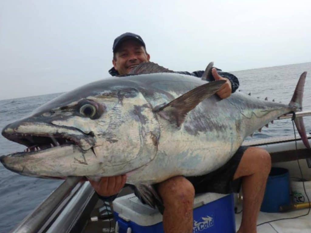 Dogtooth-Fishing-World-Records