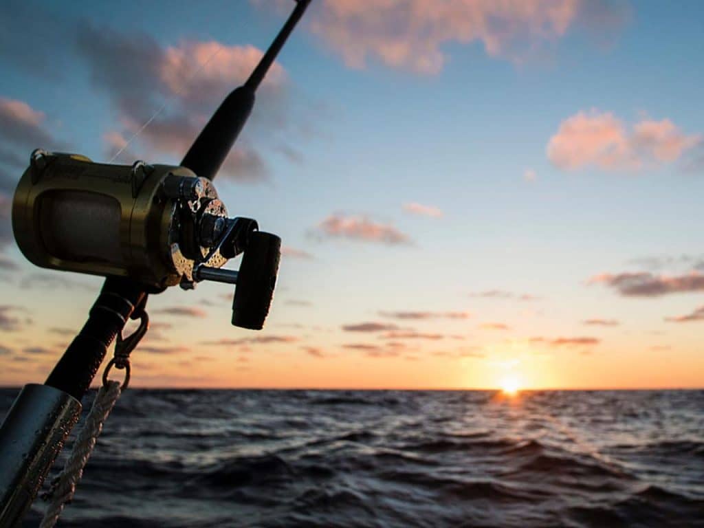 Fishing-in-Cabo