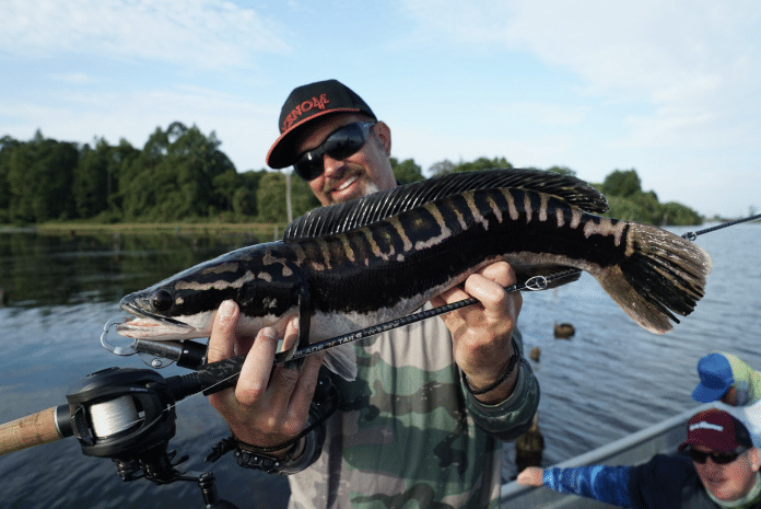 Snakehead