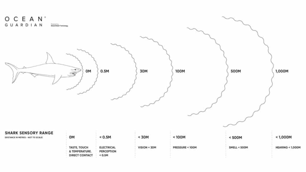 Shark Sensory Range