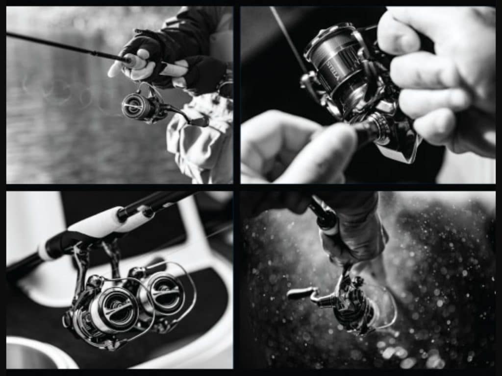 Shimano Stella Infinity Evolution