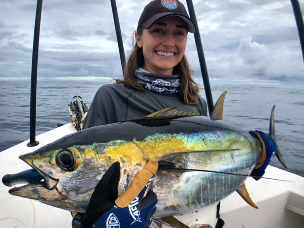 Yellowfin Panama