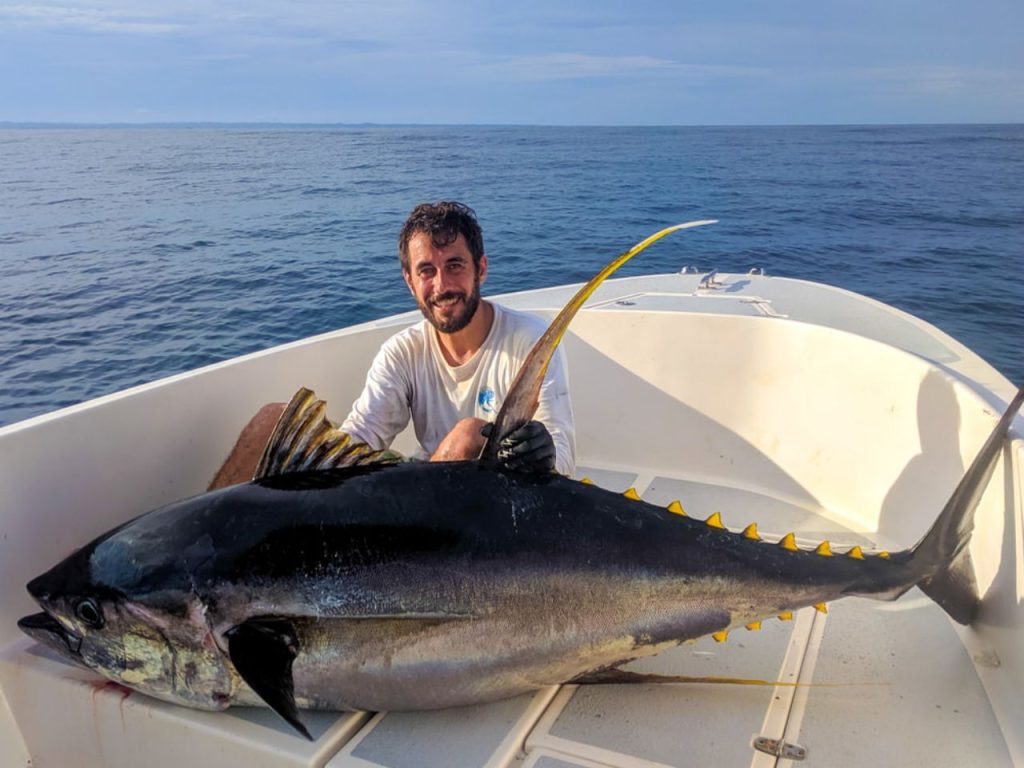 Yellowfin Panama
