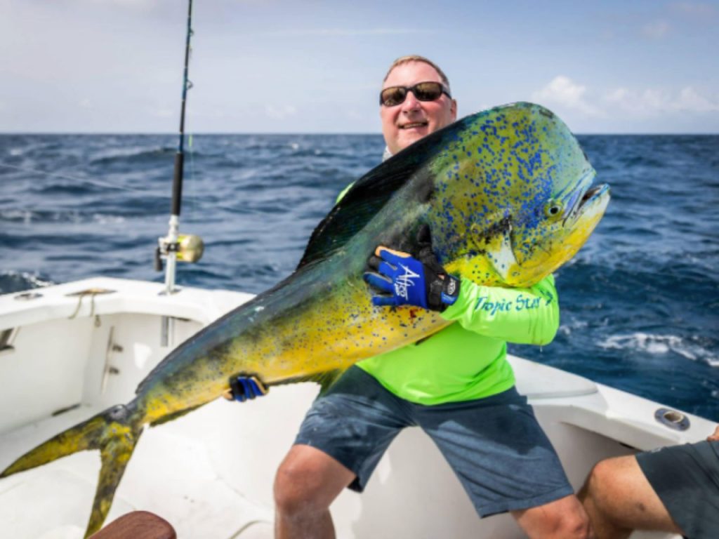 Mahi Mahi