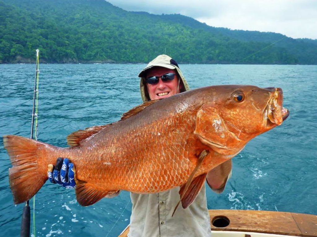 Offshore Investments: Why Anglers Invest in Panama