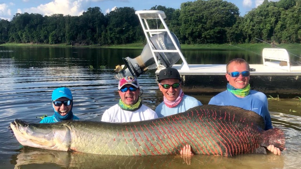 The Rise of Fly Fishing For Arapaima in the Amazon | Ocean Blue Fishing