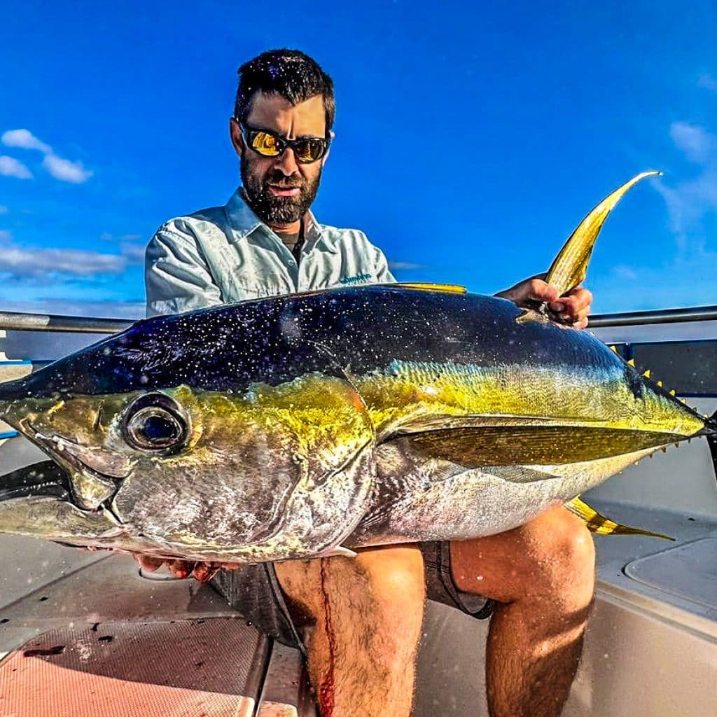 Yellowfin tuna held boatside on an Ocean Blue sport fishing trip off Efate, Vanuatu.