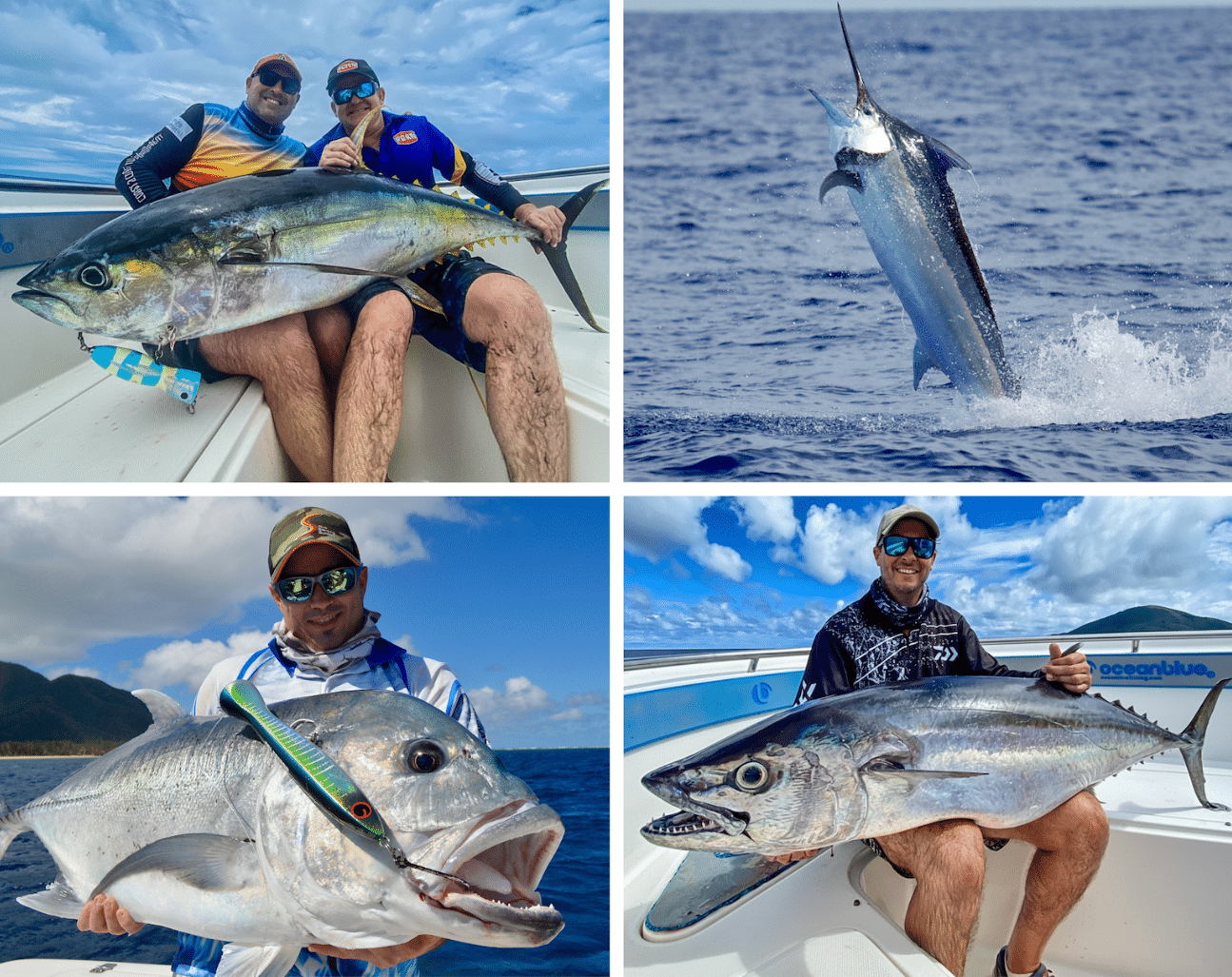 Collage of photo's featuring a large Yellowfin Tuna, Marlin, Giant Trevally and Dogtooth tuna.