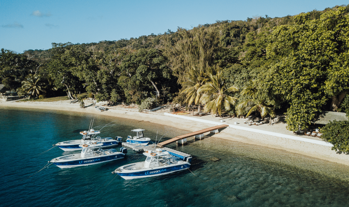 Aerial drone view of the jetty and beachfront at Trees and Fishes Private Retreat.