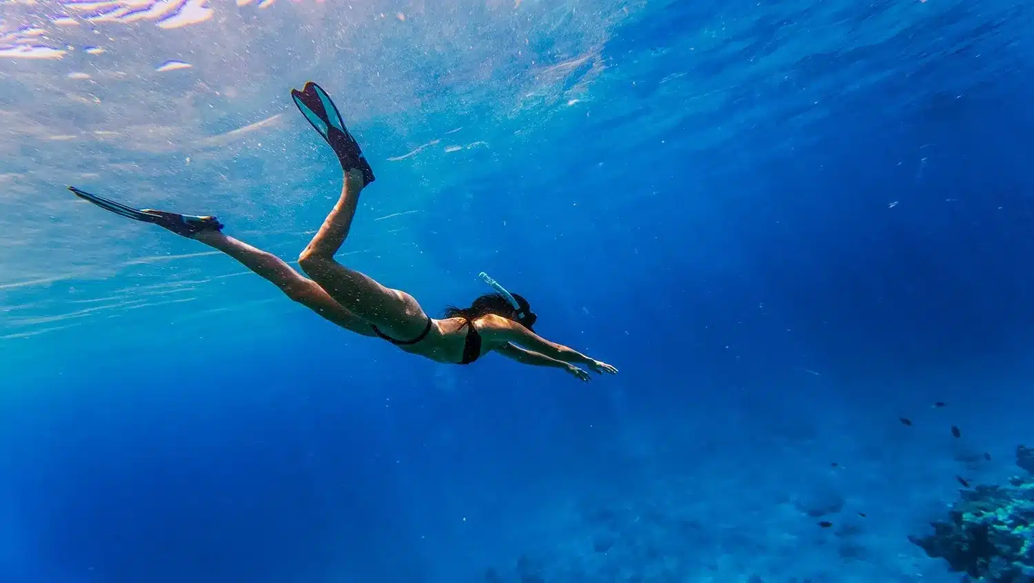 Woman snorkelling underwater in clear blue tropical water on a private snorkelling cruise near Trees and Fishes Private Retreat in Port Havannah, Vanuatu.