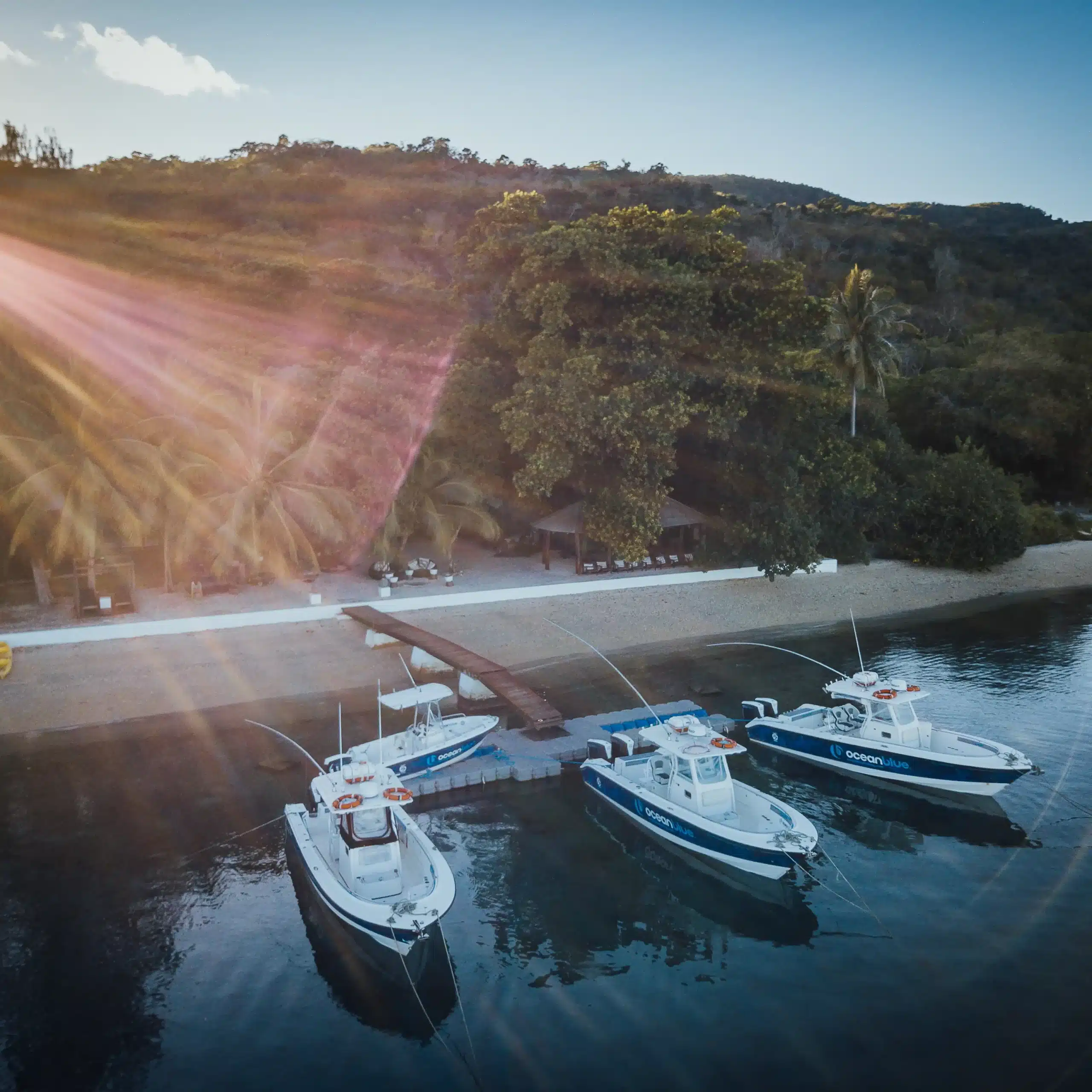 Aerial view of Ocean Blue Fishing Adventures boats moored at the beachfront jetty at Trees and Fishes Private Retreat in Port Havannah, Vanuatu, with sandy beach, palm trees and tropical hillside behind.